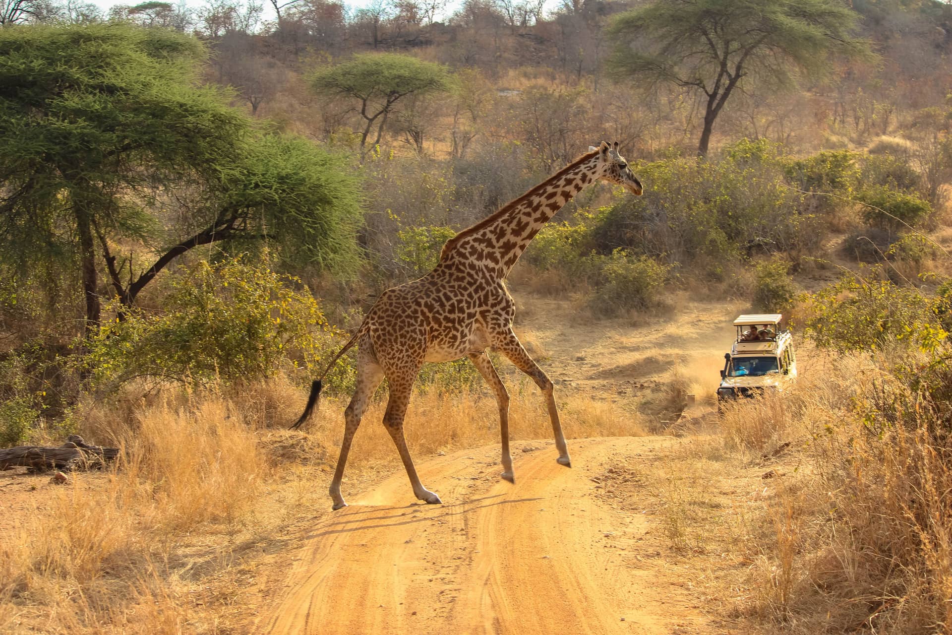 Sudafrica - Cape Town, Safari e Kruger Tour Guidato
