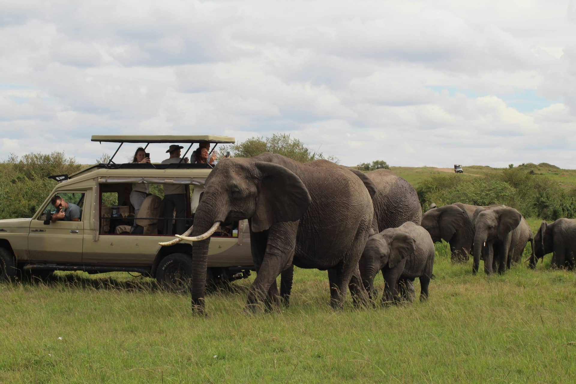 Sudafrica & Seychelles - Safari e Oceano Indiano Tour Guidato e Estensione mare