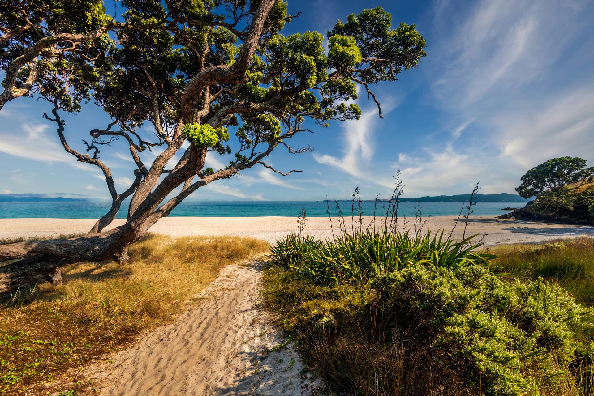 Exploring New Zealand – Da Nord a Sud on the Road