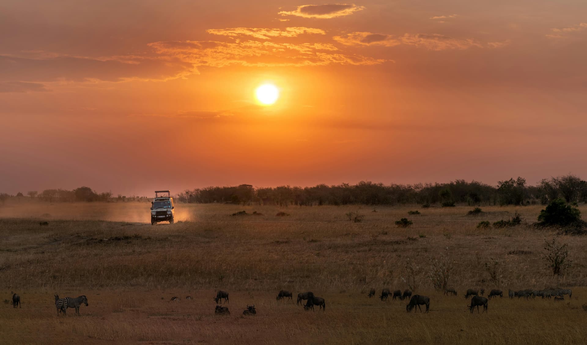 Sudafrica e Zanzibar: Lusso, Safari e Spiagge Paradisiache