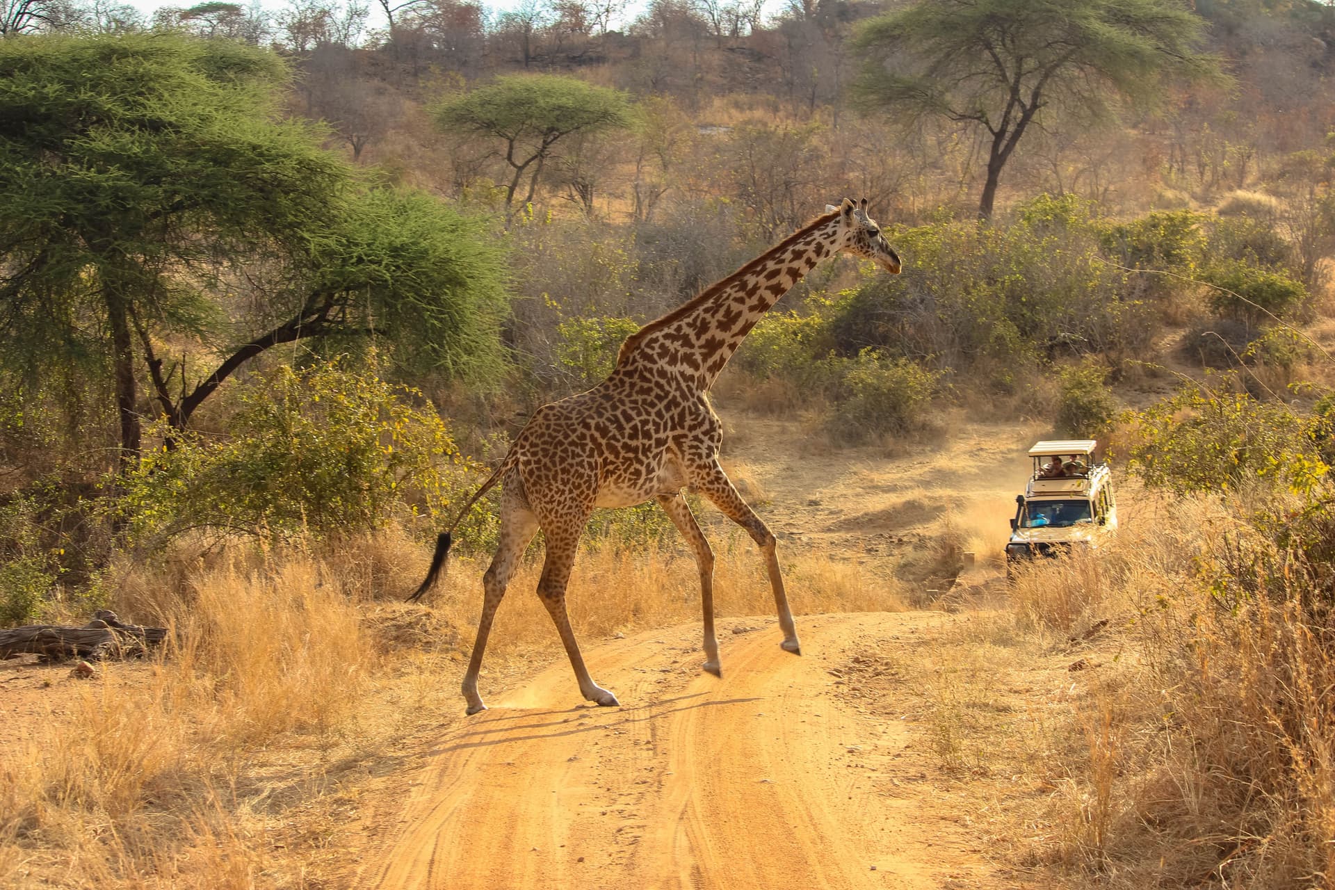 Sudafrica - Cape Town, Safari e Kruger Tour Guidato