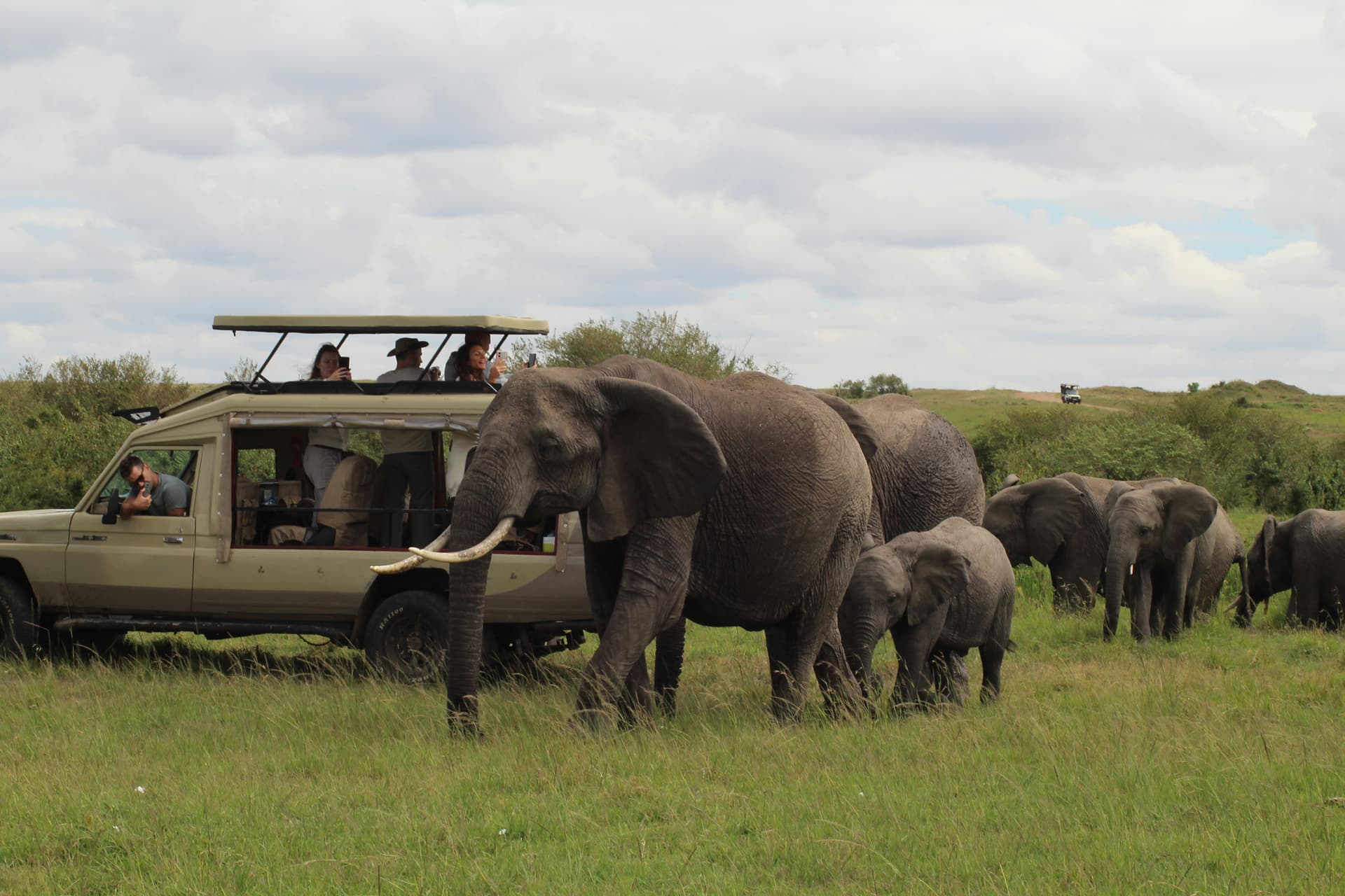 Sudafrica Safari Kruger: guida completa per organizzare il viaggio