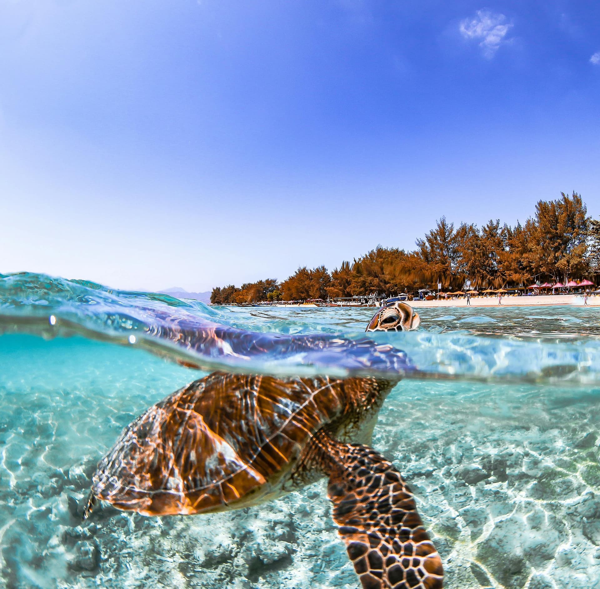 Malesia - Lang Tengah & Kuala Lumpur: Isola delle Tartarughe e Metropoli Malese Fly&Drive con Estensione mare